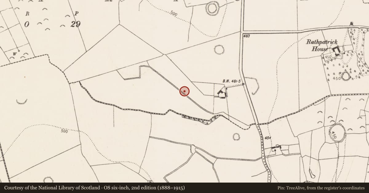 Ordnance Survey six-inch map, 2nd edition (1888–1915) covering the location of Fulacht fia, Rathpatrick, County Kilkenny, with a pin at the register's coordinates