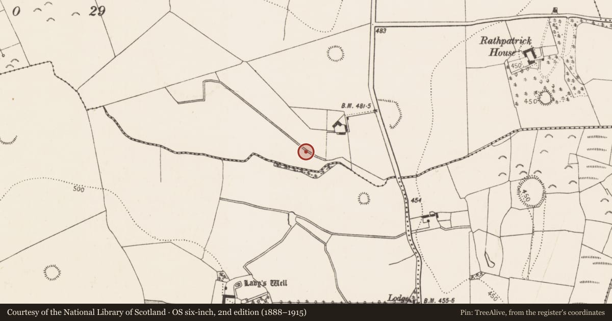 Ordnance Survey six-inch map, 2nd edition (1888–1915) covering the location of Fulacht fia, Rathpatrick, County Kilkenny, with a pin at the register's coordinates
