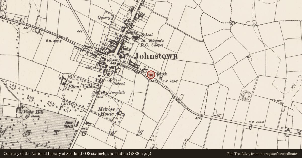 Ordnance Survey six-inch map, 2nd edition (1888–1915) covering the location of Stone sculpture (present location), Foulkscourt, County Kilkenny, with a pin at the register's coordinates
