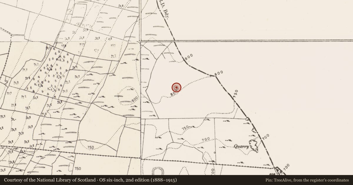 Ordnance Survey six-inch map, 2nd edition (1888–1915) covering the location of Barrow - ring-barrow, Coolnacrutta, County Kilkenny, with a pin at the register's coordinates