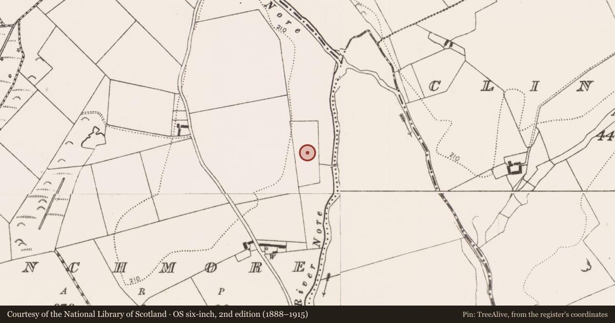 Ordnance Survey six-inch map, 2nd edition (1888–1915) covering the location of Bawn, Inchmore, County Kilkenny, with a pin at the register's coordinates