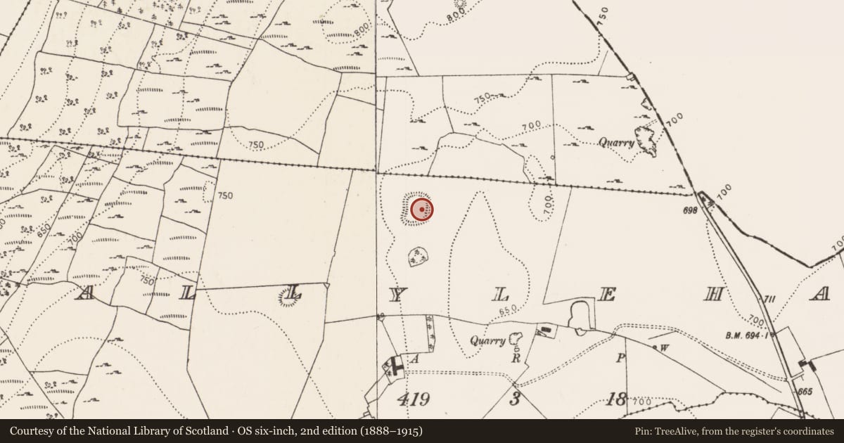 Ordnance Survey six-inch map, 2nd edition (1888–1915) covering the location of Enclosure, Ballylehaun, County Kilkenny, with a pin at the register's coordinates
