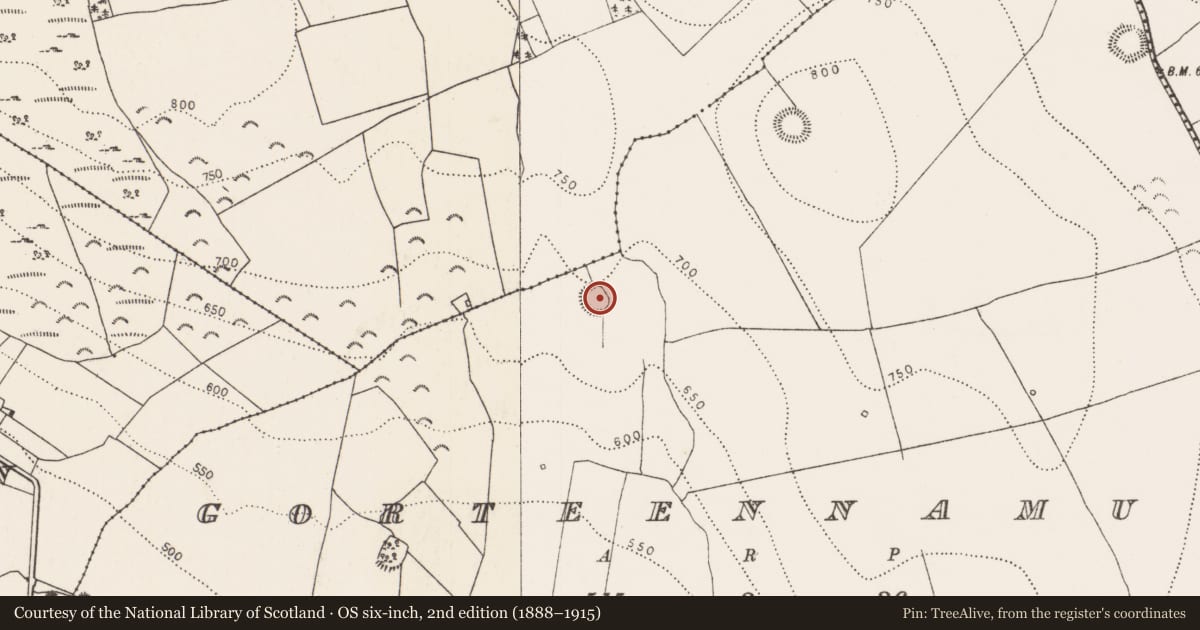 Ordnance Survey six-inch map, 2nd edition (1888–1915) covering the location of Ringfort - rath, Gorteennamuck, County Kilkenny, with a pin at the register's coordinates