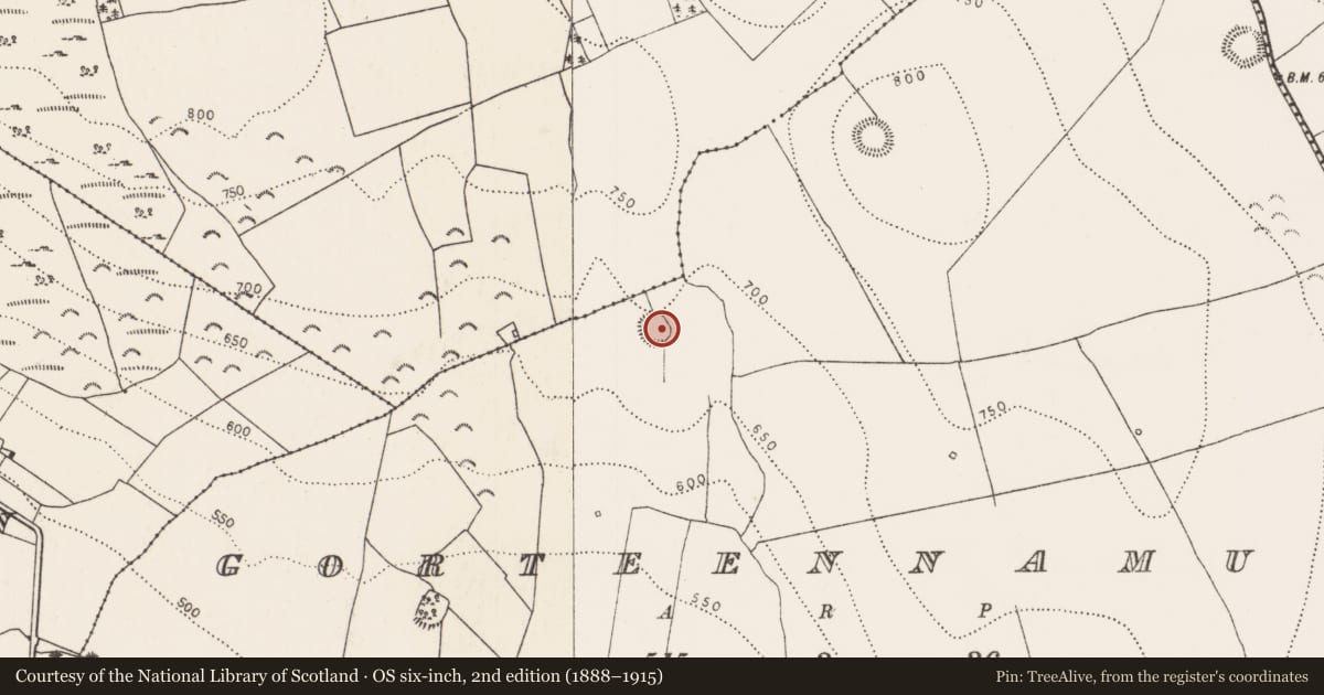 Ordnance Survey six-inch map, 2nd edition (1888–1915) covering the location of House - indeterminate date, Gorteennamuck, County Kilkenny, with a pin at the register's coordinates