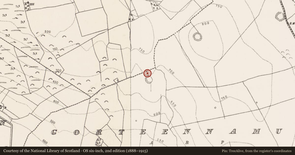 Ordnance Survey six-inch map, 2nd edition (1888–1915) covering the location of Field boundary, Gorteennamuck, County Kilkenny, with a pin at the register's coordinates
