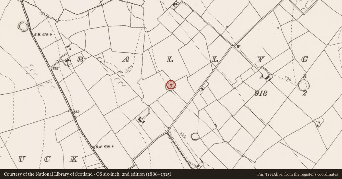 Ordnance Survey six-inch map, 2nd edition (1888–1915) covering the location of Ringfort - rath, Ballygowney, County Kilkenny, with a pin at the register's coordinates