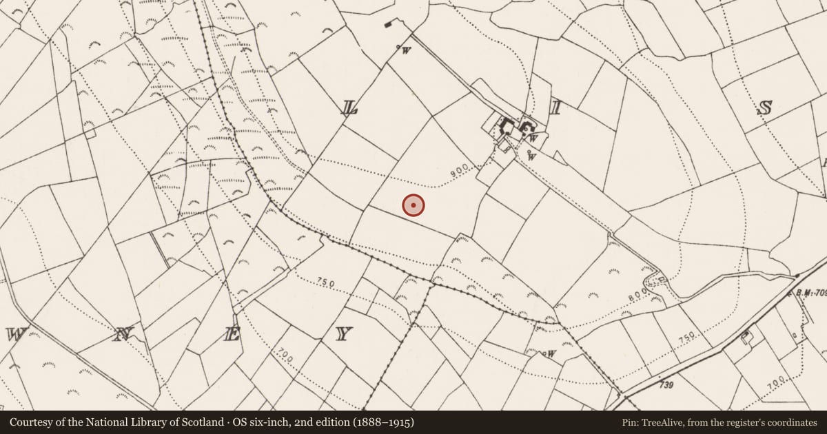 Ordnance Survey six-inch map, 2nd edition (1888–1915) covering the location of Enclosure, Lisdowney, County Kilkenny, with a pin at the register's coordinates
