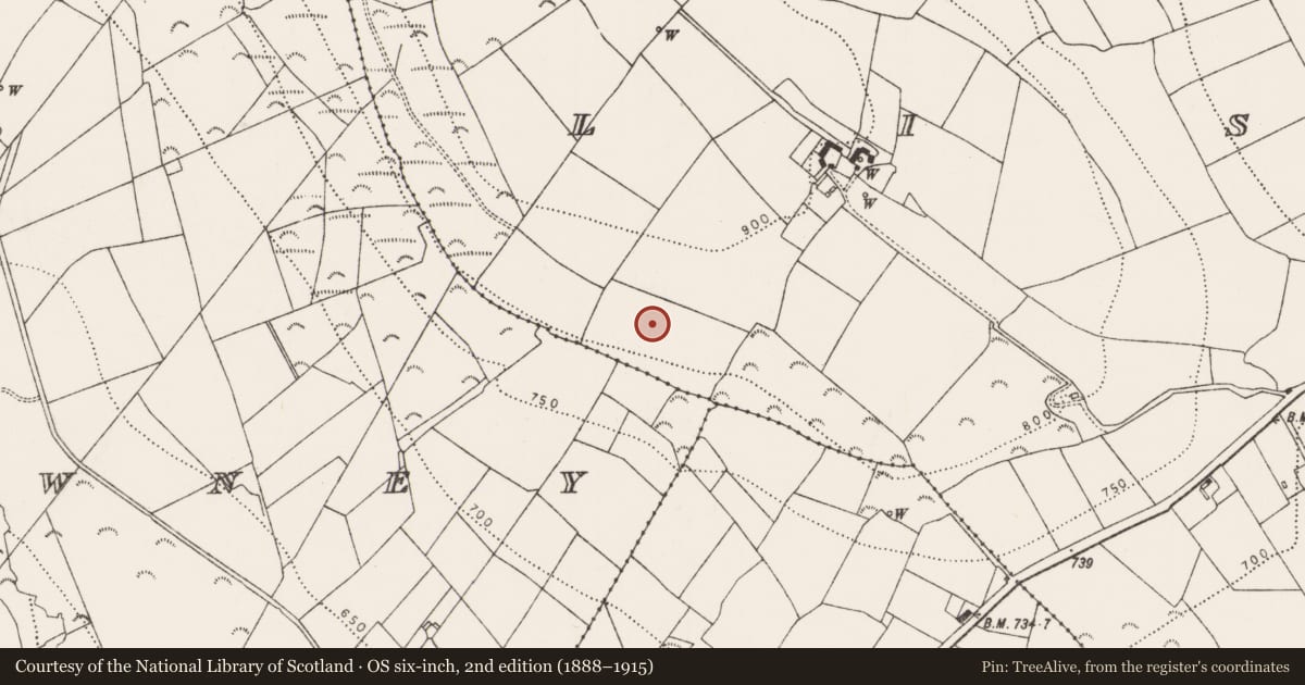 Ordnance Survey six-inch map, 2nd edition (1888–1915) covering the location of Linear earthwork, Lisdowney, County Kilkenny, with a pin at the register's coordinates