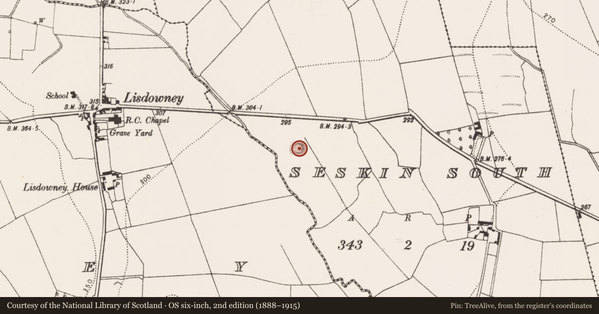 Ordnance Survey six-inch map, 2nd edition (1888–1915) covering the location of Enclosure, Seskin South, County Kilkenny, with a pin at the register's coordinates