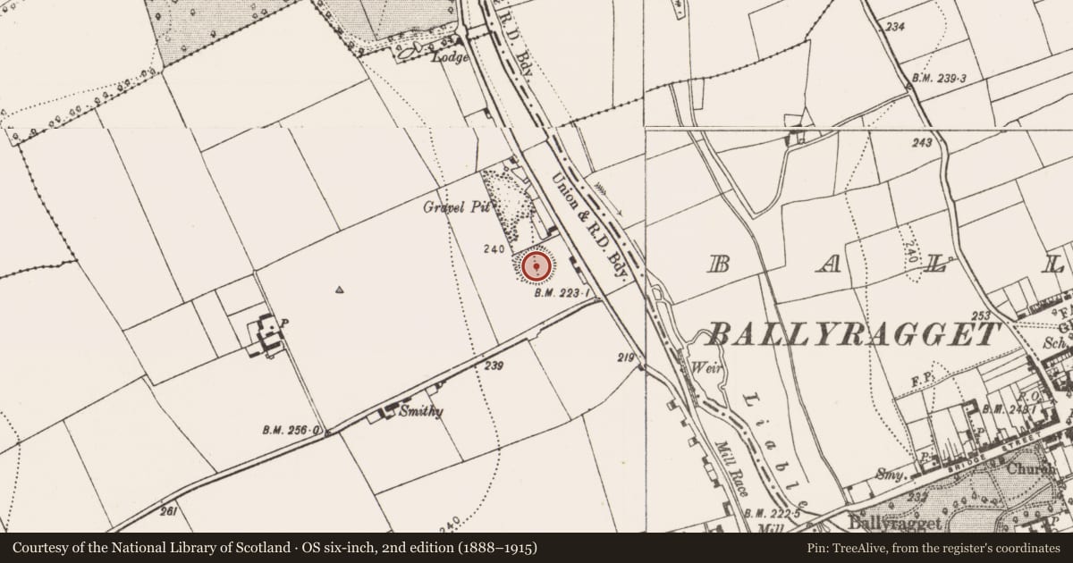 Ordnance Survey six-inch map, 2nd edition (1888–1915) covering the location of Ringfort - rath, Parksgrove, County Kilkenny, with a pin at the register's coordinates