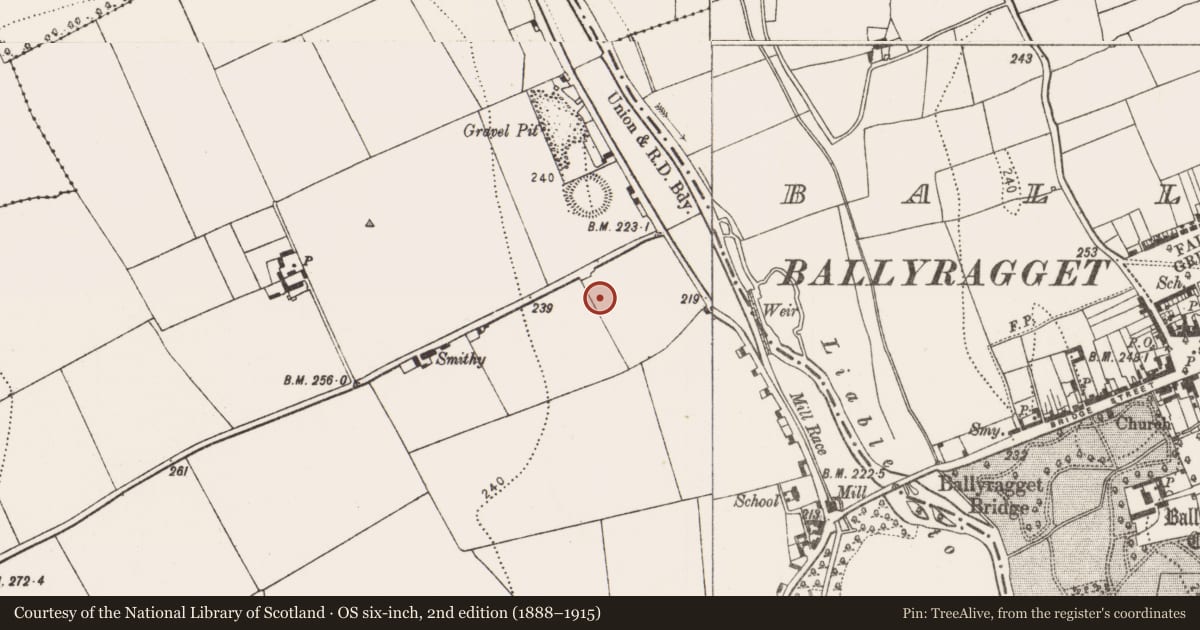 Ordnance Survey six-inch map, 2nd edition (1888–1915) covering the location of Ring-ditch, Parksgrove, County Kilkenny, with a pin at the register's coordinates