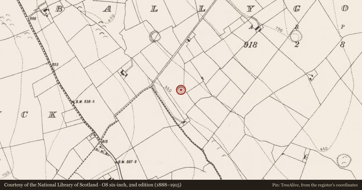 Ordnance Survey six-inch map, 2nd edition (1888–1915) covering the location of Ringfort - rath, Ballygowney, County Kilkenny, with a pin at the register's coordinates