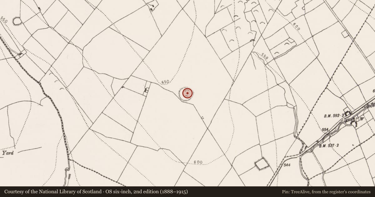 Ordnance Survey six-inch map, 2nd edition (1888–1915) covering the location of Ringfort - rath, Ballygowney, County Kilkenny, with a pin at the register's coordinates