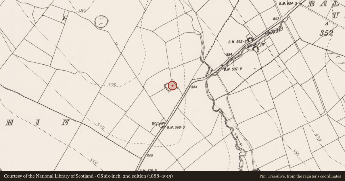 Ordnance Survey six-inch map, 2nd edition (1888–1915) covering the location of Moated site, Ballygowney, County Kilkenny, with a pin at the register's coordinates