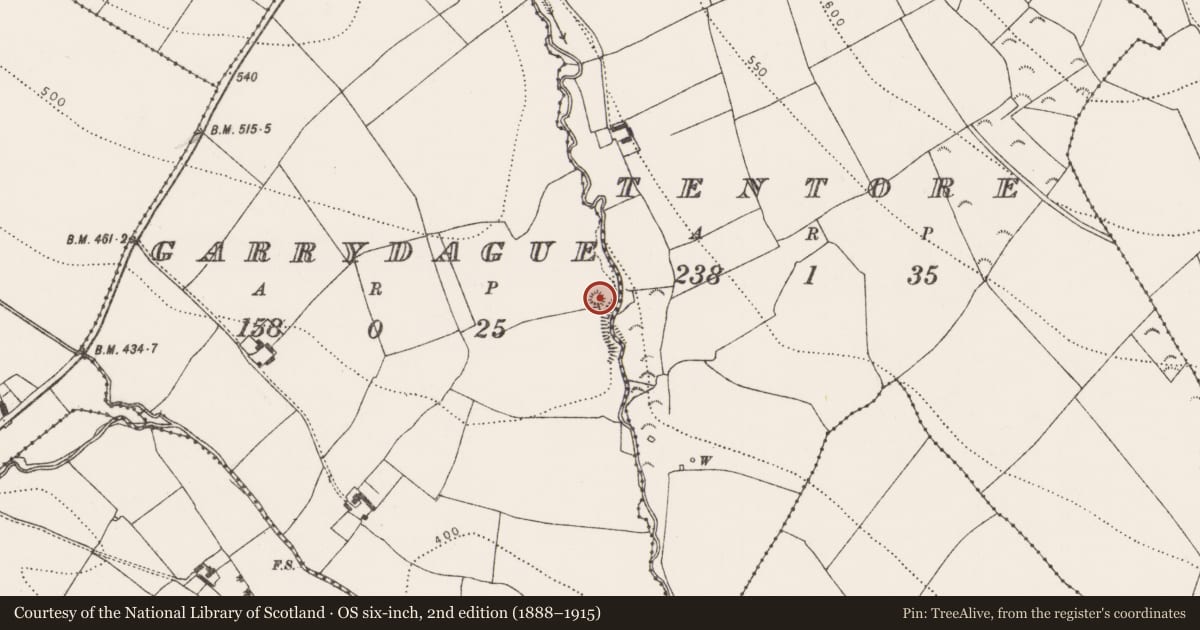 Ordnance Survey six-inch map, 2nd edition (1888–1915) covering the location of Castle - motte and bailey, Garrydague, County Kilkenny, with a pin at the register's coordinates