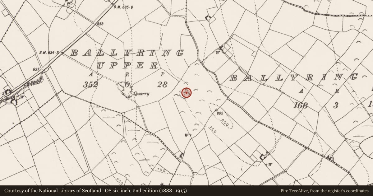 Ordnance Survey six-inch map, 2nd edition (1888–1915) covering the location of Enclosure, Ballyring Upper, County Kilkenny, with a pin at the register's coordinates