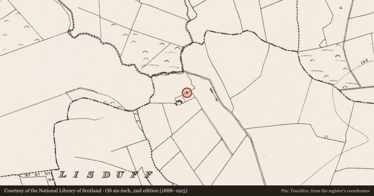 Ordnance Survey six-inch map, 2nd edition (1888–1915) covering the location of Enclosure, Grange, County Kilkenny, with a pin at the register's coordinates