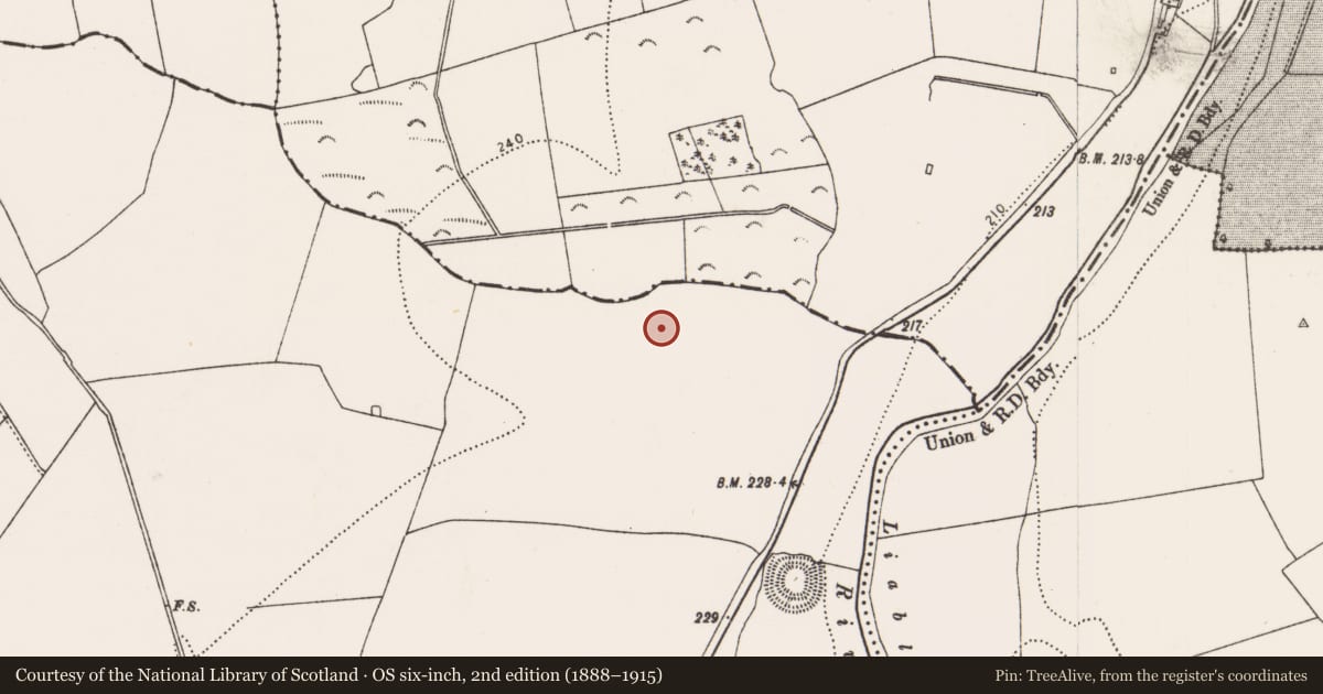Ordnance Survey six-inch map, 2nd edition (1888–1915) covering the location of Enclosure, Grange, County Kilkenny, with a pin at the register's coordinates