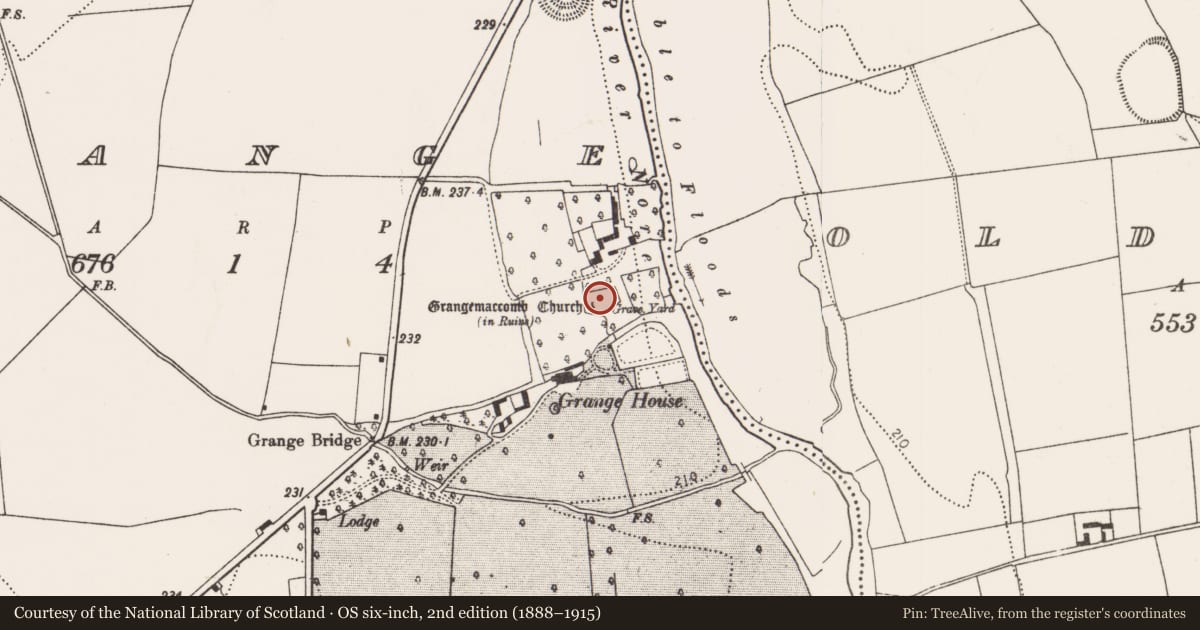 Ordnance Survey six-inch map, 2nd edition (1888–1915) covering the location of Graveyard, Grange, County Kilkenny, with a pin at the register's coordinates