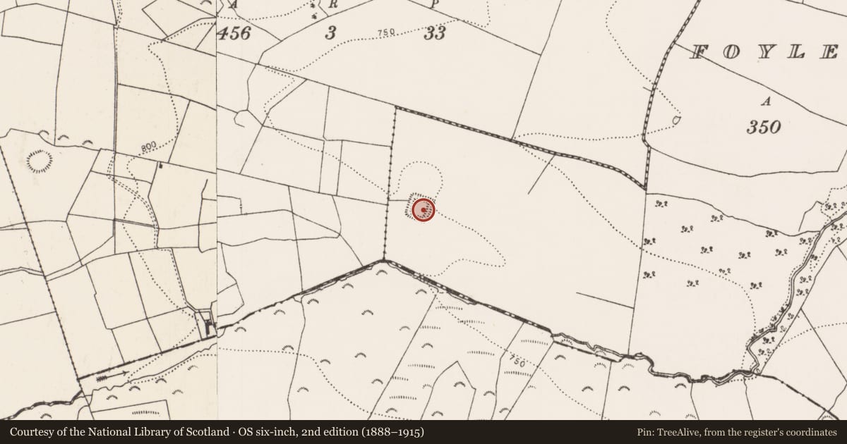 Ordnance Survey six-inch map, 2nd edition (1888–1915) covering the location of Moated site, Foyle South, County Kilkenny, with a pin at the register's coordinates
