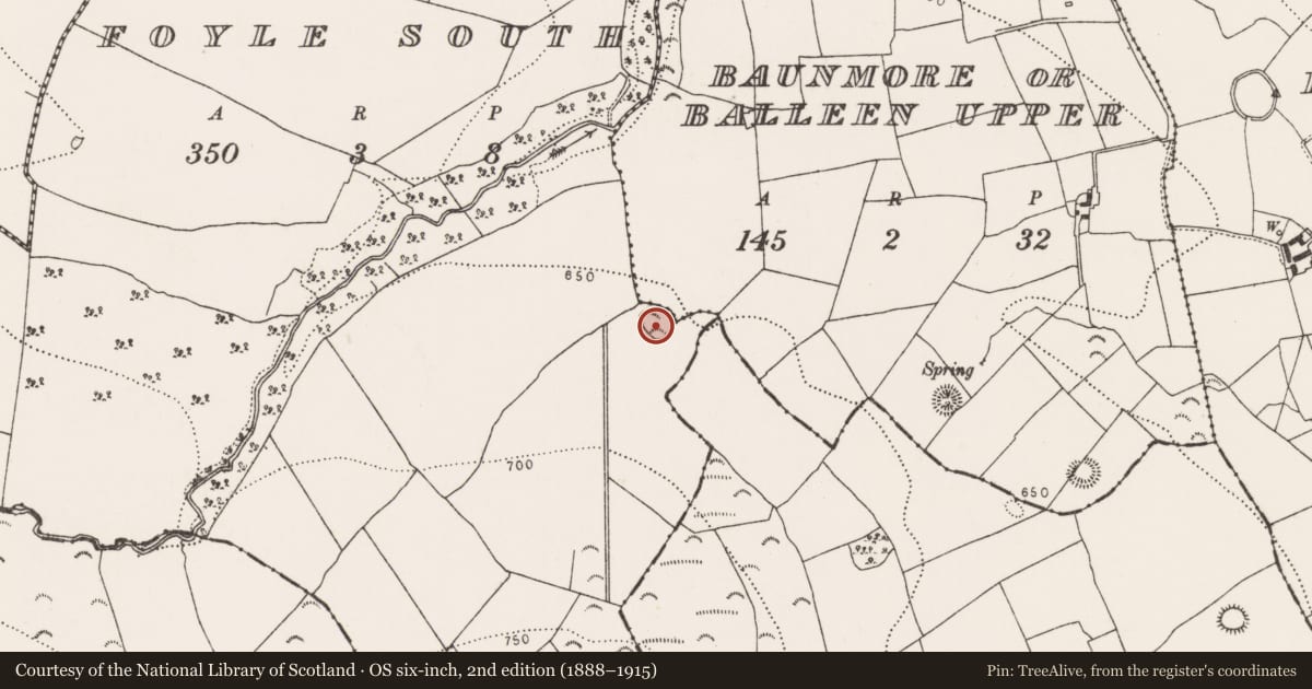 Ordnance Survey six-inch map, 2nd edition (1888–1915) covering the location of Enclosure, Foyle South, County Kilkenny, with a pin at the register's coordinates