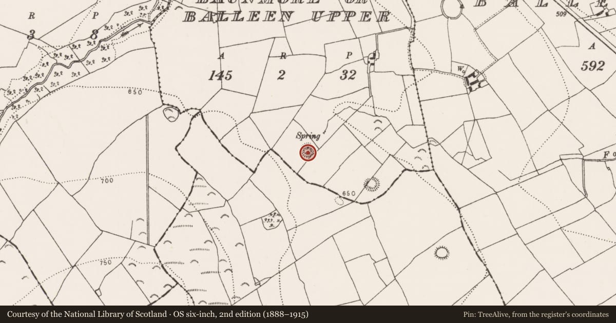Ordnance Survey six-inch map, 2nd edition (1888–1915) covering the location of Ringfort - unclassified, Baunmore Or Balleen Upper, County Kilkenny, with a pin at the register's coordinates