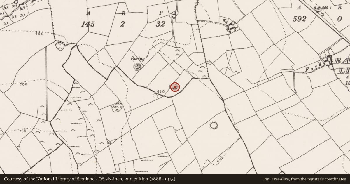 Ordnance Survey six-inch map, 2nd edition (1888–1915) covering the location of Enclosure, Baunmore Or Balleen Upper, County Kilkenny, with a pin at the register's coordinates