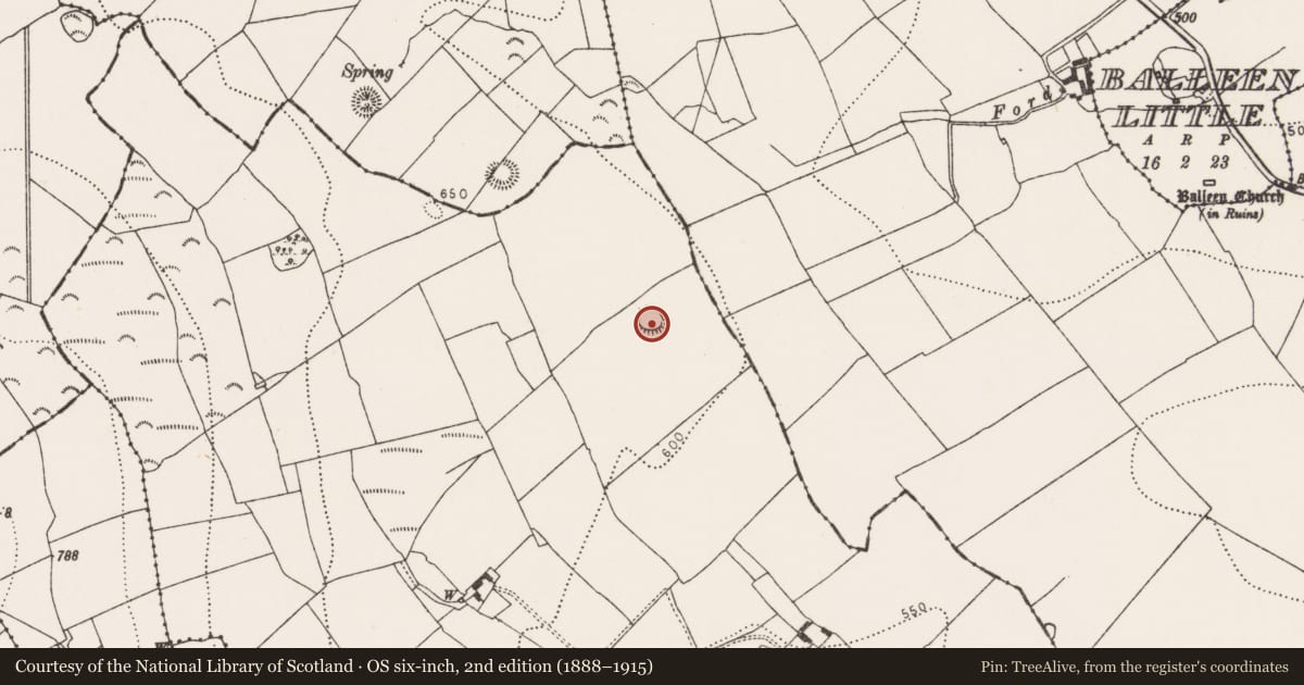 Ordnance Survey six-inch map, 2nd edition (1888–1915) covering the location of Ringfort - rath, Garranamanagh, County Kilkenny, with a pin at the register's coordinates