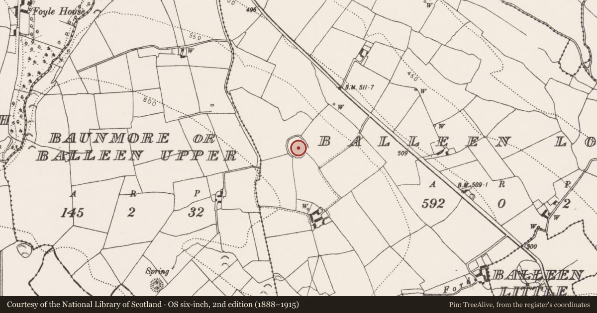 Ordnance Survey six-inch map, 2nd edition (1888–1915) covering the location of Ringfort - cashel, Balleen Lower, County Kilkenny, with a pin at the register's coordinates