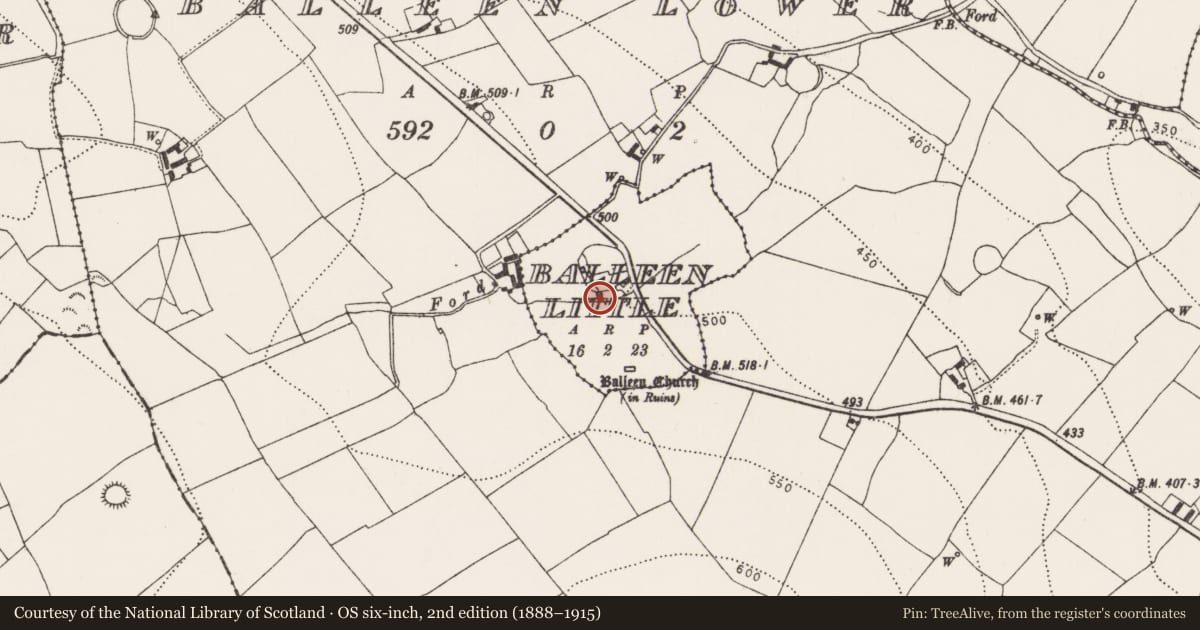 Ordnance Survey six-inch map, 2nd edition (1888–1915) covering the location of Castle - unclassified, Balleen Little, County Kilkenny, with a pin at the register's coordinates