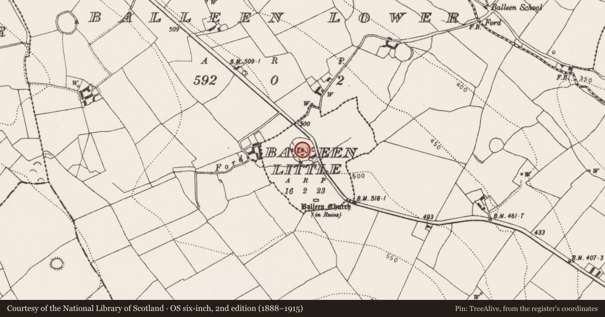 Ordnance Survey six-inch map, 2nd edition (1888–1915) covering the location of Bawn, Balleen Little, County Kilkenny, with a pin at the register's coordinates