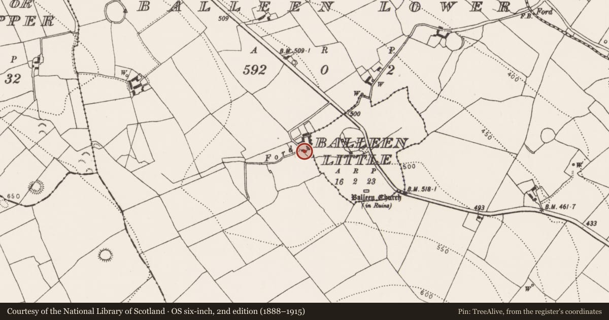 Ordnance Survey six-inch map, 2nd edition (1888–1915) covering the location of Sheela-na-gig (present location), Balleen Little, County Kilkenny, with a pin at the register's coordinates