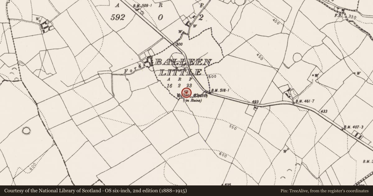 Ordnance Survey six-inch map, 2nd edition (1888–1915) covering the location of Church, Balleen Little, County Kilkenny, with a pin at the register's coordinates