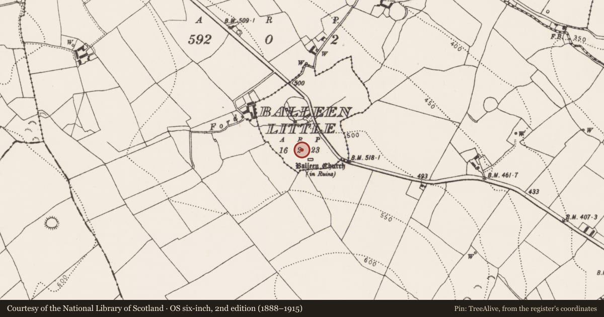 Ordnance Survey six-inch map, 2nd edition (1888–1915) covering the location of Earthwork, Balleen Lower, County Kilkenny, with a pin at the register's coordinates