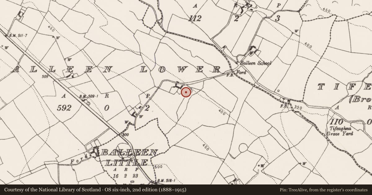 Ordnance Survey six-inch map, 2nd edition (1888–1915) covering the location of Enclosure, Balleen Lower, County Kilkenny, with a pin at the register's coordinates
