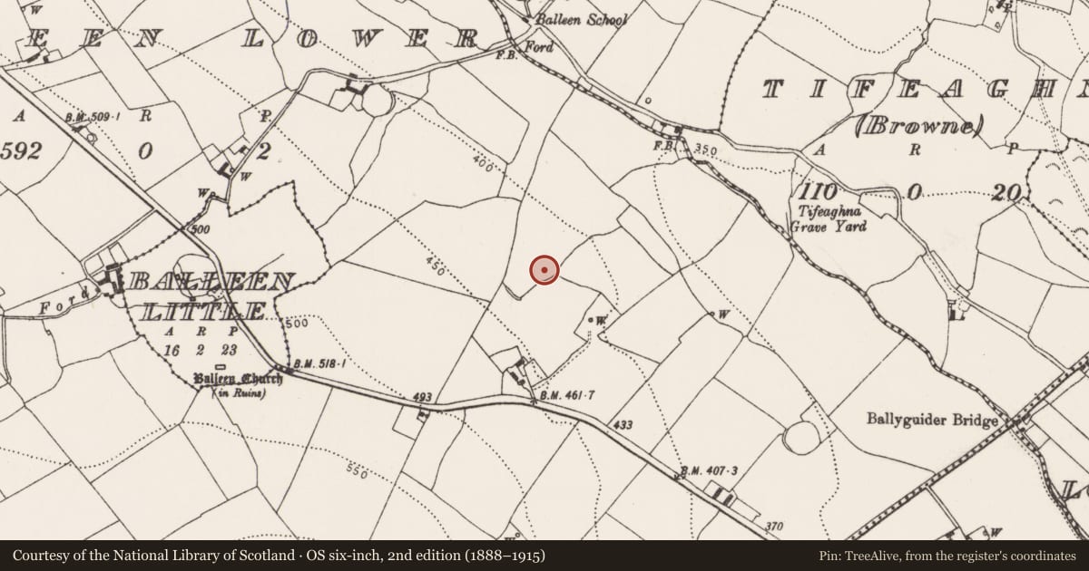 Ordnance Survey six-inch map, 2nd edition (1888–1915) covering the location of Ringfort - cashel, Balleen Lower, County Kilkenny, with a pin at the register's coordinates