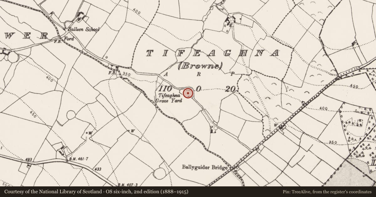 Ordnance Survey six-inch map, 2nd edition (1888–1915) covering the location of Graveyard, Tifeaghna (Browne), County Kilkenny, with a pin at the register's coordinates