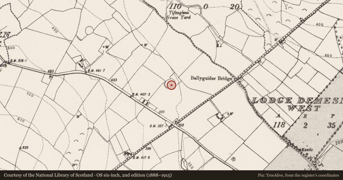 Ordnance Survey six-inch map, 2nd edition (1888–1915) covering the location of Ringfort - cashel, Balleen Lower, County Kilkenny, with a pin at the register's coordinates