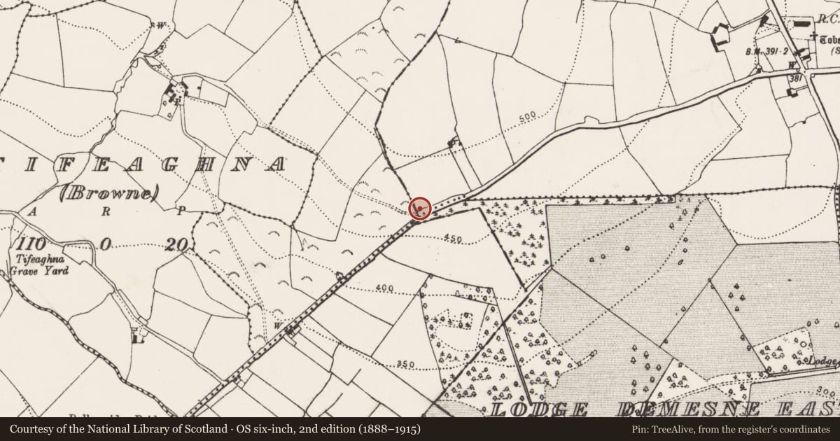 Ordnance Survey six-inch map, 2nd edition (1888–1915) covering the location of Church, Clontubbrid, County Kilkenny, with a pin at the register's coordinates