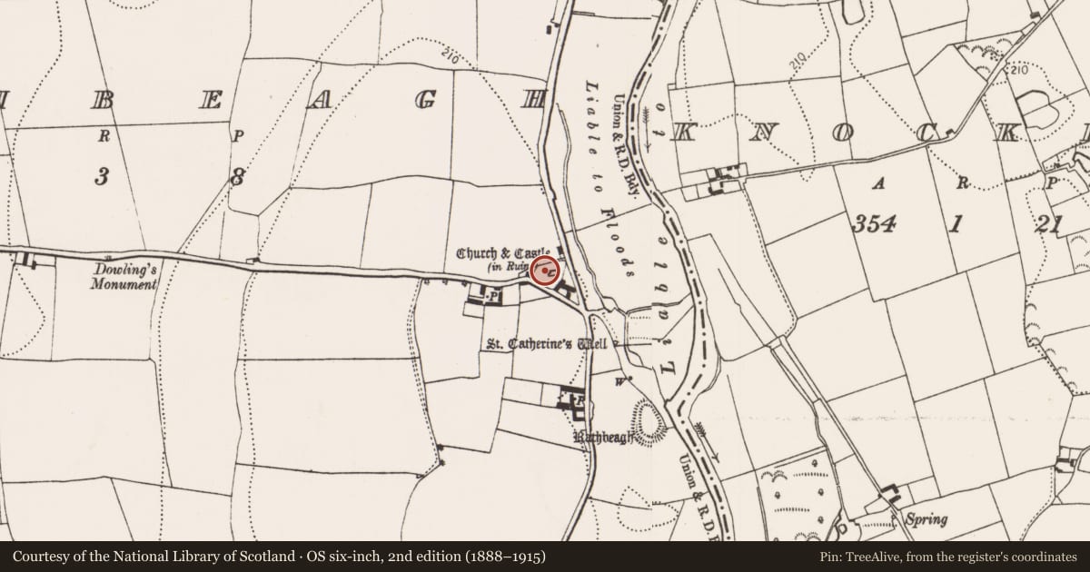 Ordnance Survey six-inch map, 2nd edition (1888–1915) covering the location of Graveslab, Rathbeagh, County Kilkenny, with a pin at the register's coordinates