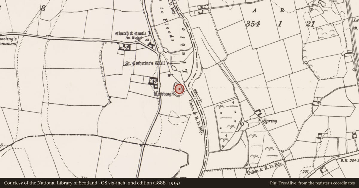 Ordnance Survey six-inch map, 2nd edition (1888–1915) covering the location of Ringfort - rath, Rathbeagh, County Kilkenny, with a pin at the register's coordinates