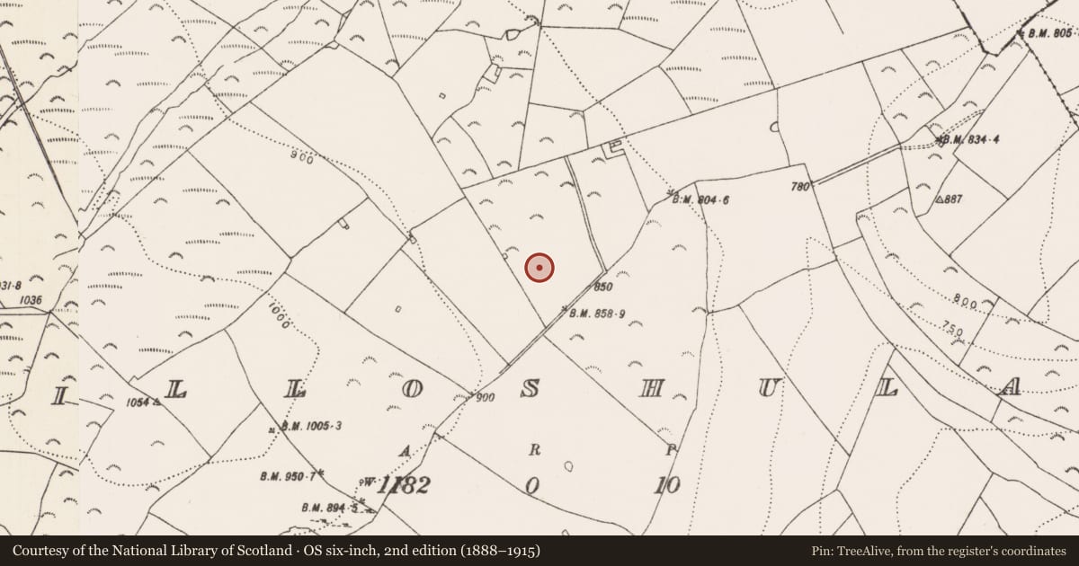Ordnance Survey six-inch map, 2nd edition (1888–1915) covering the location of Enclosure, Killoshulan, County Kilkenny, with a pin at the register's coordinates