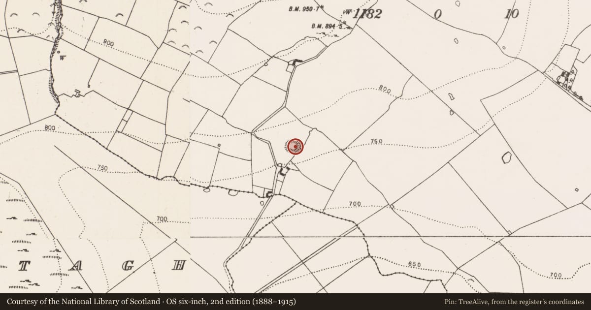 Ordnance Survey six-inch map, 2nd edition (1888–1915) covering the location of Ringfort - unclassified, Killoshulan, County Kilkenny, with a pin at the register's coordinates