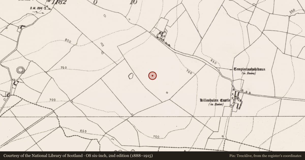 Ordnance Survey six-inch map, 2nd edition (1888–1915) covering the location of Ringfort - rath, Killoshulan, County Kilkenny, with a pin at the register's coordinates
