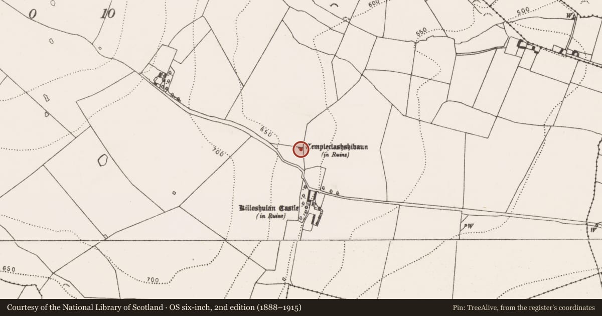 Ordnance Survey six-inch map, 2nd edition (1888–1915) covering the location of Church, Killoshulan, County Kilkenny, with a pin at the register's coordinates