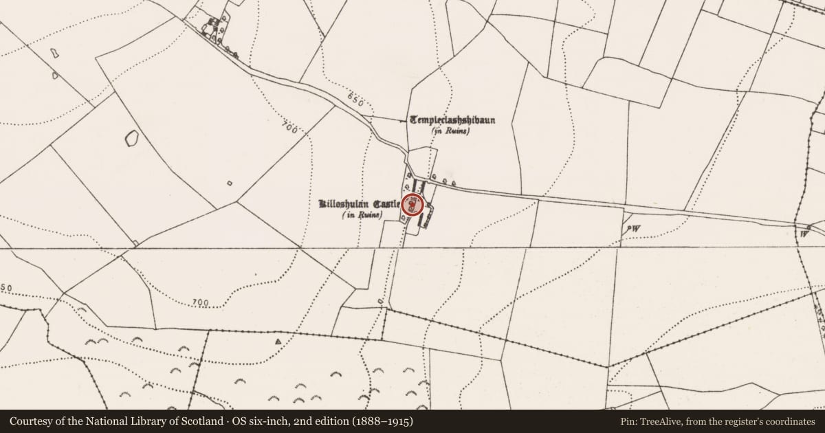 Ordnance Survey six-inch map, 2nd edition (1888–1915) covering the location of Castle - tower house, Killoshulan, County Kilkenny, with a pin at the register's coordinates