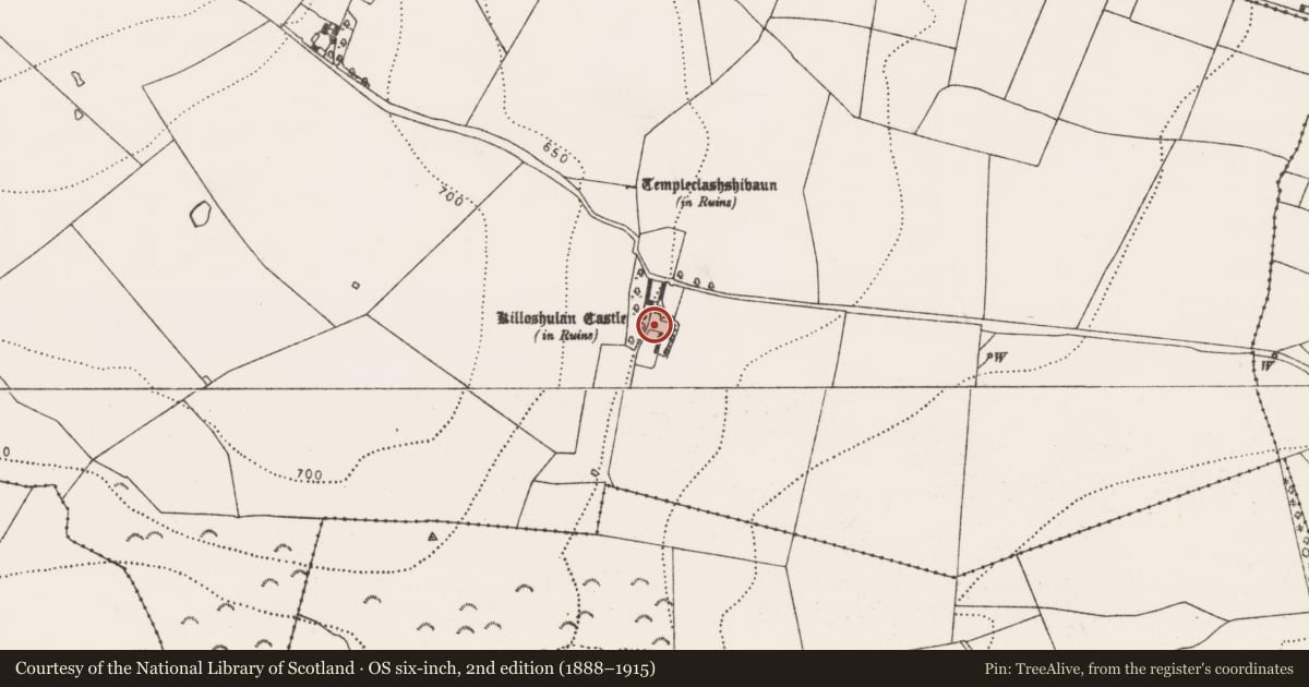 Ordnance Survey six-inch map, 2nd edition (1888–1915) covering the location of Bawn, Killoshulan, County Kilkenny, with a pin at the register's coordinates