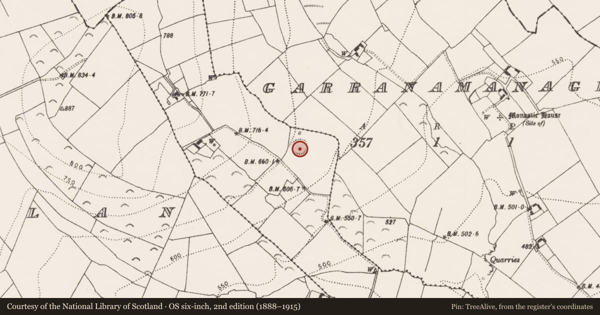 Ordnance Survey six-inch map, 2nd edition (1888–1915) covering the location of Ringfort - rath, Newtown, County Kilkenny, with a pin at the register's coordinates