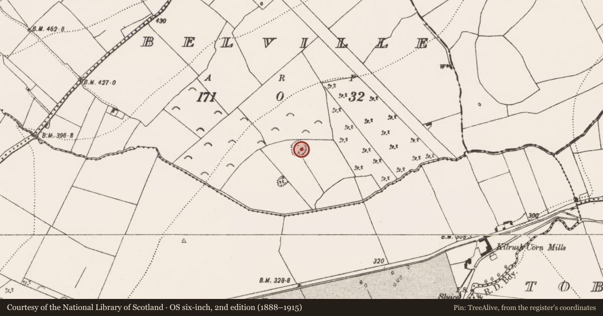 Ordnance Survey six-inch map, 2nd edition (1888–1915) covering the location of Ringfort - rath, Belville, County Kilkenny, with a pin at the register's coordinates