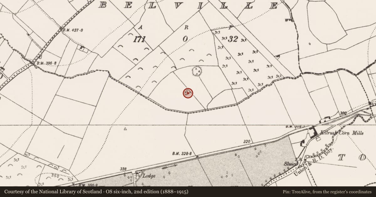 Ordnance Survey six-inch map, 2nd edition (1888–1915) covering the location of Enclosure, Belville, County Kilkenny, with a pin at the register's coordinates